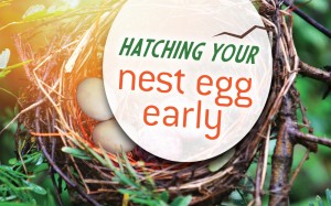56494c1192422a23a1dcea36b137fdf678329534-2003_NL_AI_Hatching_your_nest_egg_early